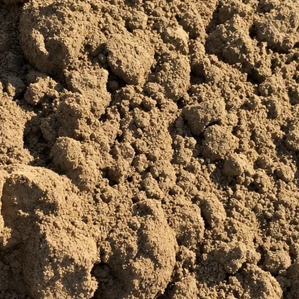 Fill Dirt