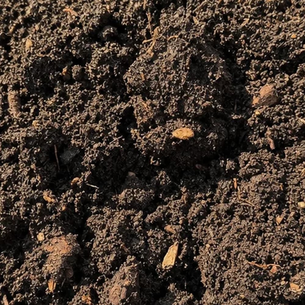 Garden Soil