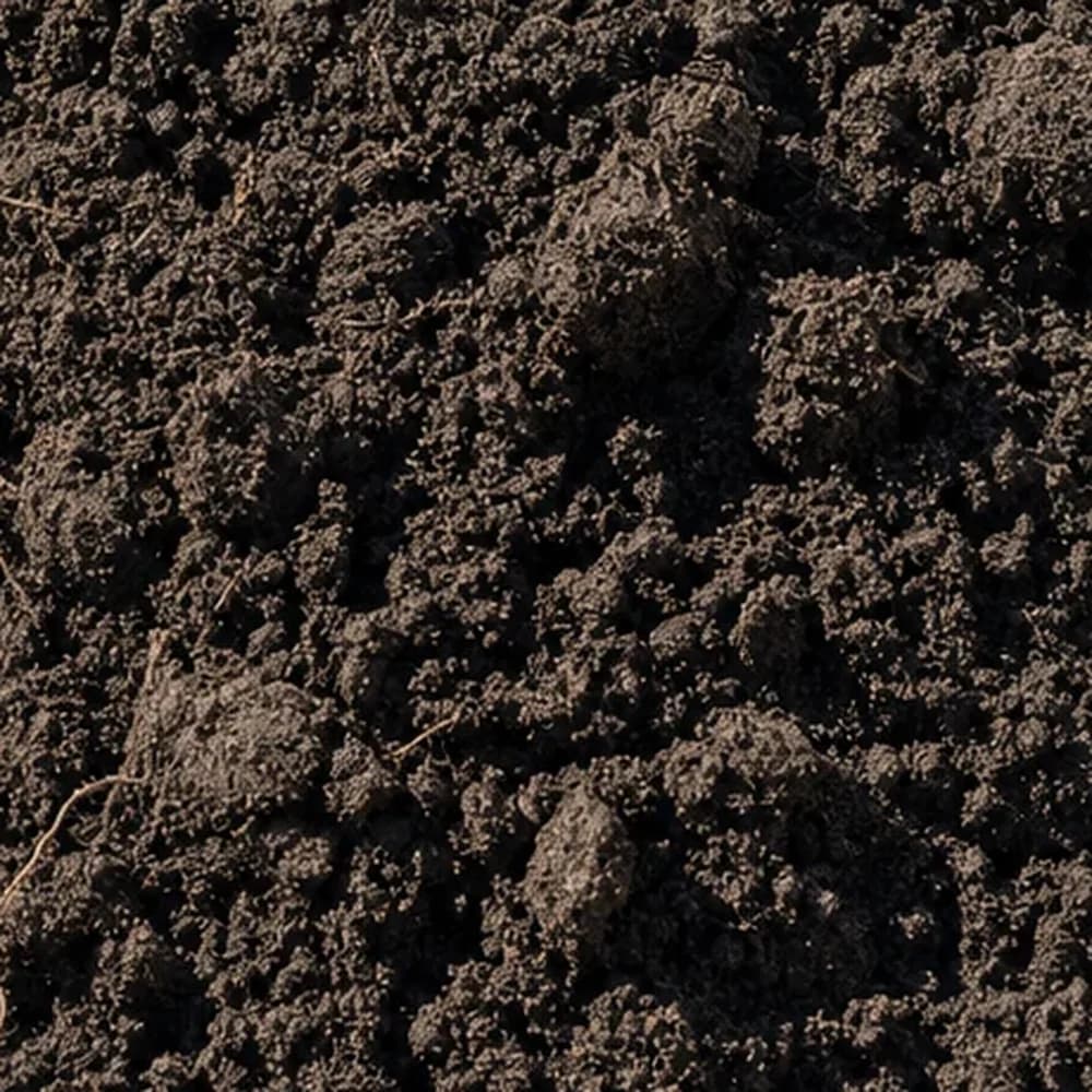 Top Soil